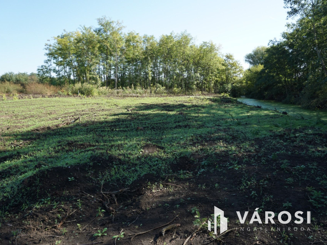 5176 m2 telek több lehetőséggel Gyulán!