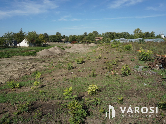 5176 m2 telek több lehetőséggel Gyulán!