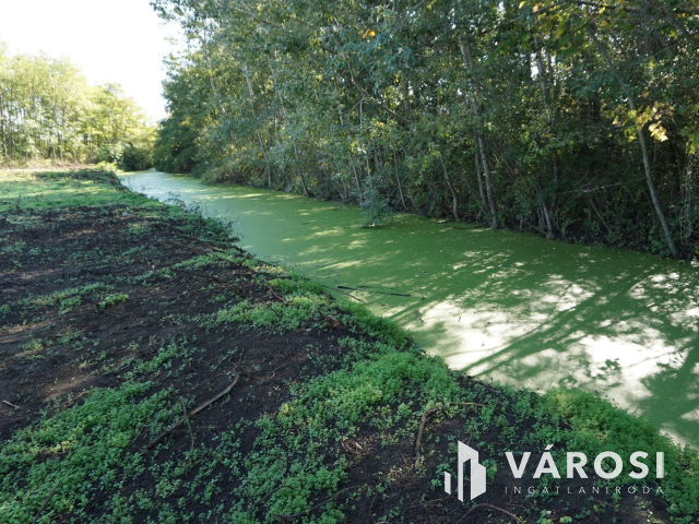 5176 m2 telek több lehetőséggel Gyulán!