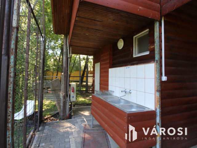 Békéscsabai paradicsom