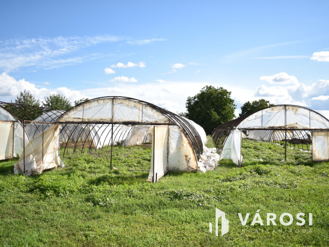 Kiváló lehetősség termelőknek!