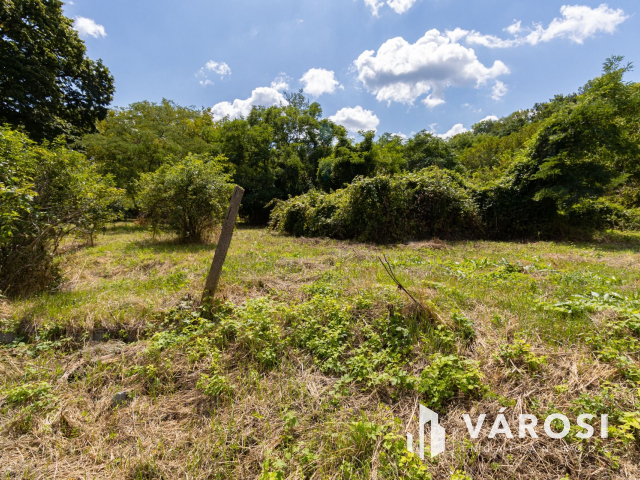 Pilismaróton, belterületi telek, most akciós áron eladó