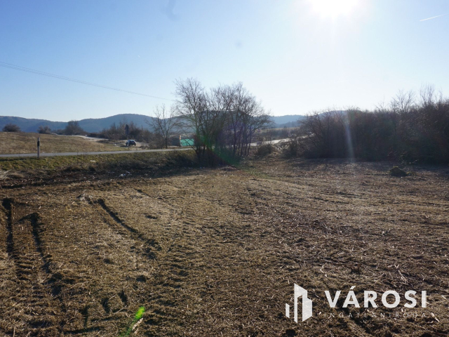 A közeli jövő befektetése Budakeszin?