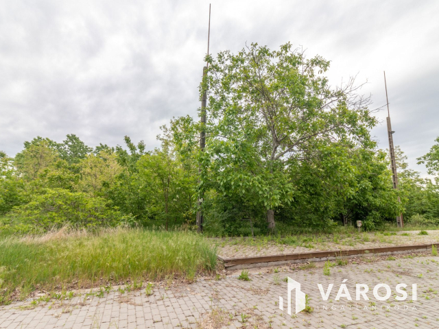 Kezdje el álmai vállalkozását!