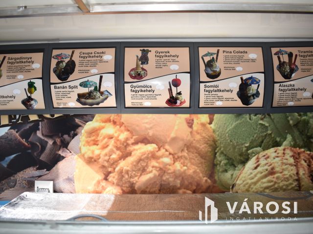 Egy jövedelmező vállalkozás egy lakás áráért!