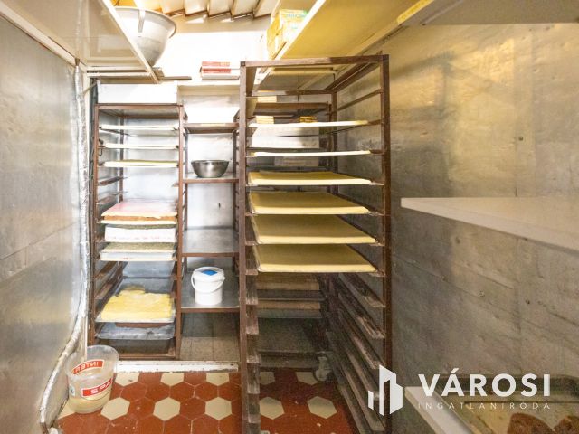 Több lehetőség egy ingatlanban a Várfürdő közelében