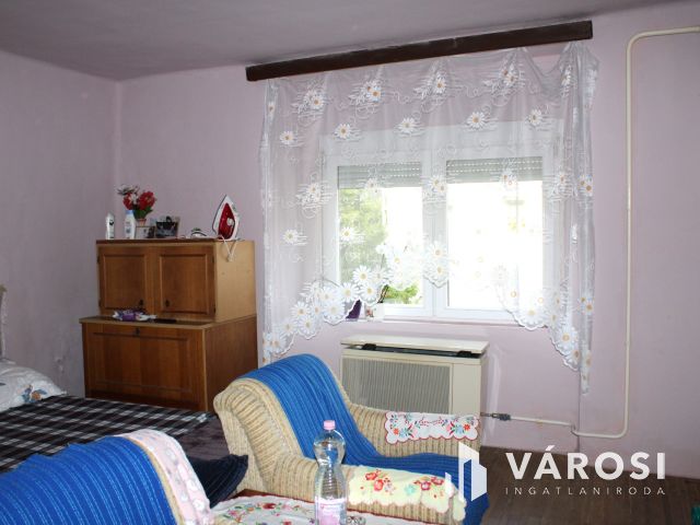 Otthon, ahol a természet a szomszédod!