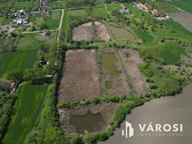 Eladó „hacienda”  Battonyán