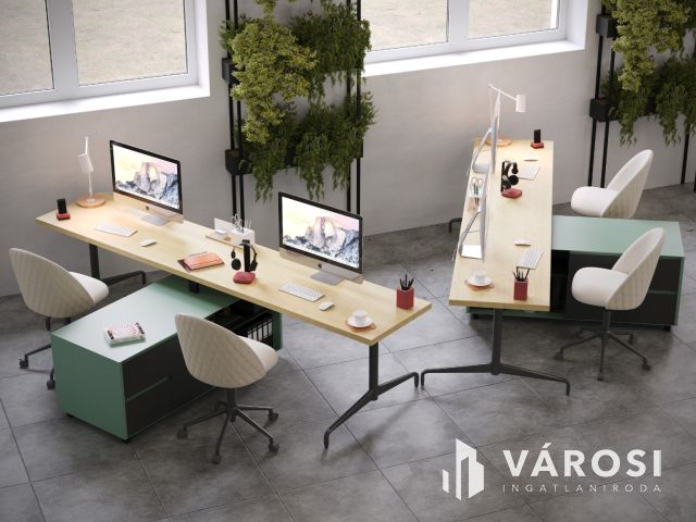 Vásárhelyen az ipariparkban,