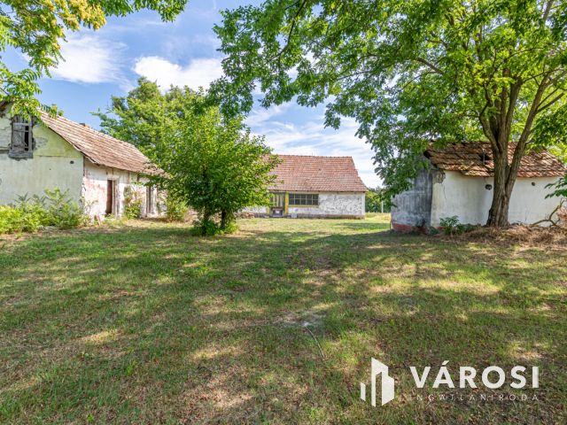 Gazdálkodásra, állattartásra alkalmas Ásotthalmi birtok