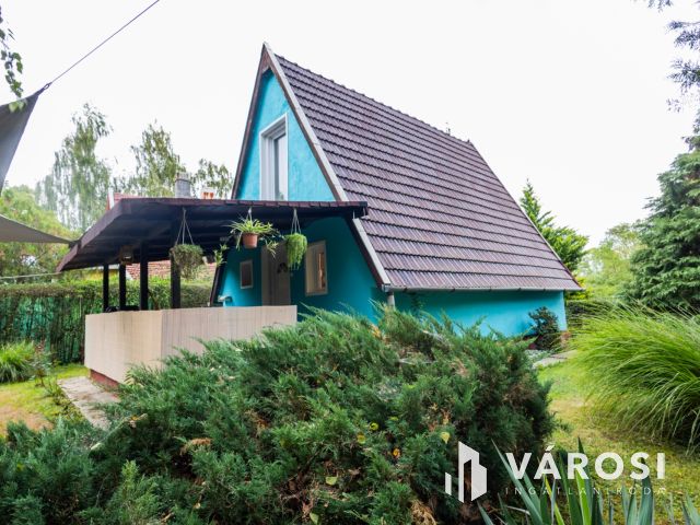 Kisház az erdő mellett