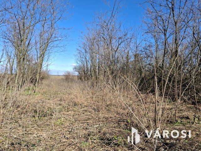 Családi ház Szőcön, ahol van hely élni