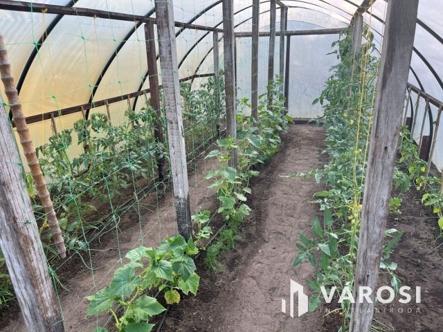 Debrecen-Apafán, Madárdalos Önellátó Kis Birtok Eladó!