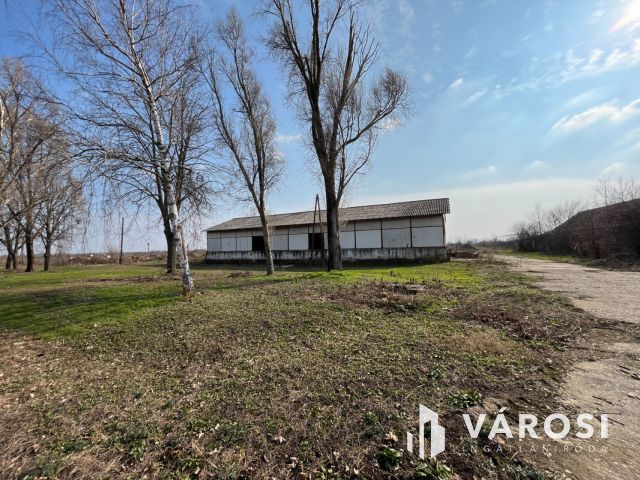 Debrecen Autópálya Közelében 27000 NM Telephely!