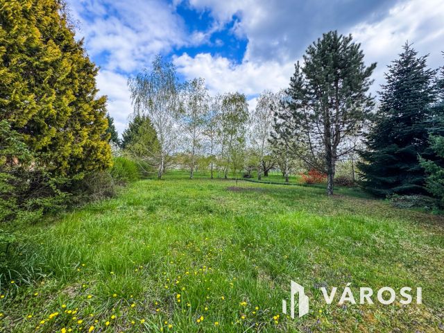 Két telek, egy nyaraló és sok-sok gyümölcsfa Szanazugban