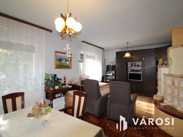 Családi ház zöldövezetben a Kurca partján