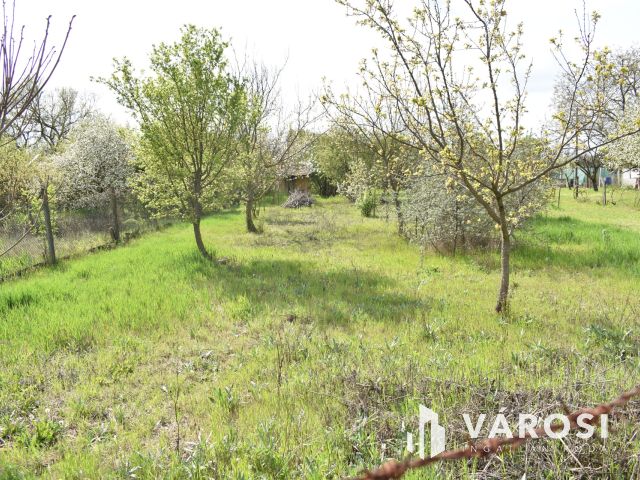 1179 m2 zártkert eladó Gyulán!