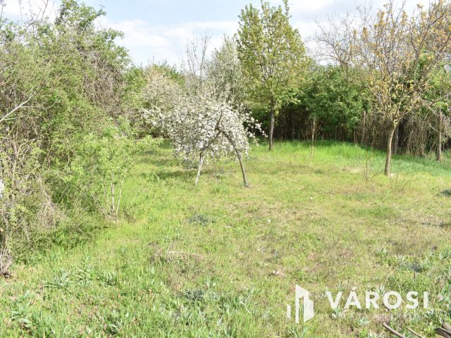 1179 m2 zártkert eladó Gyulán!