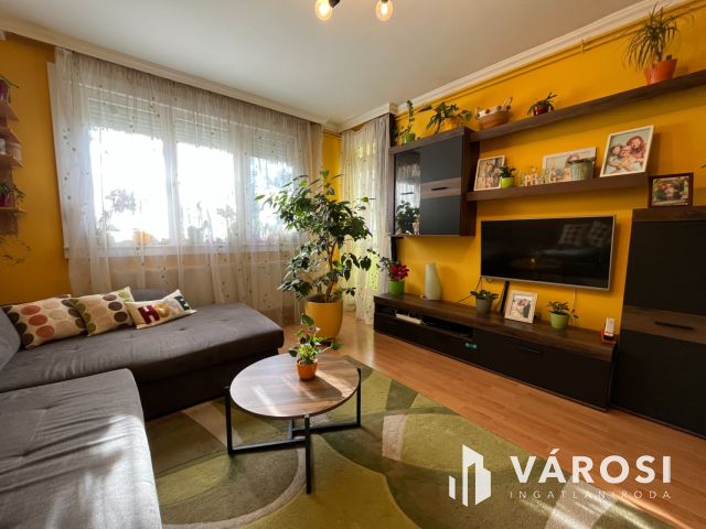 Debrecen Kertkapcsolatos Földszinti Lakás